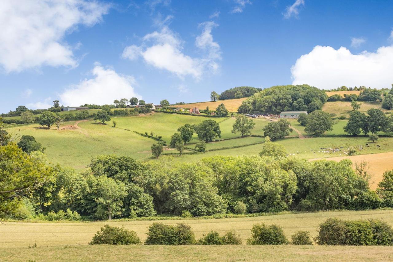 Wood Cottage Tenbury Dış mekan fotoğraf
